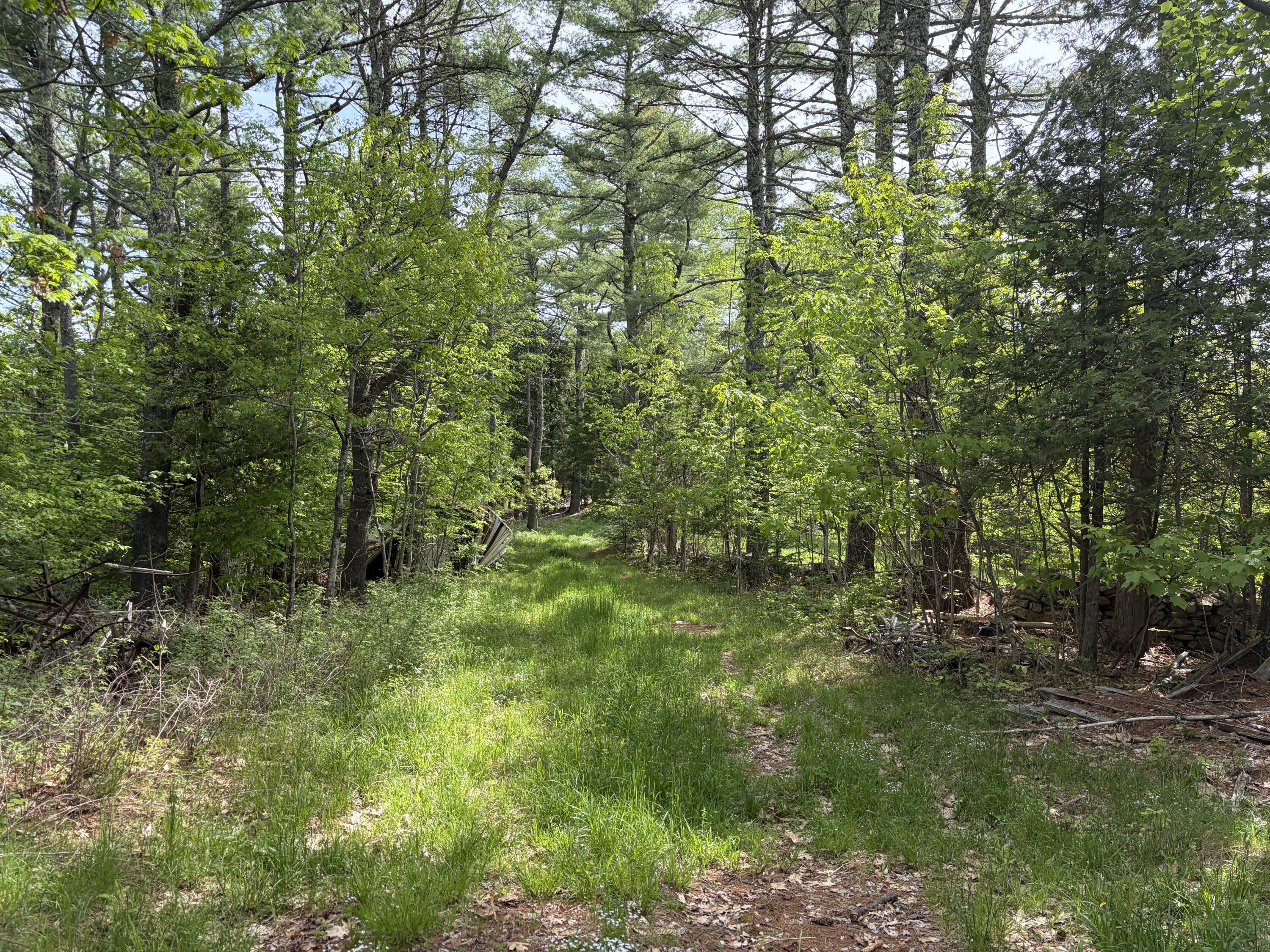 Lot 1 Waldoboro Road Washington, ME 04574 - Photo 23 of 39