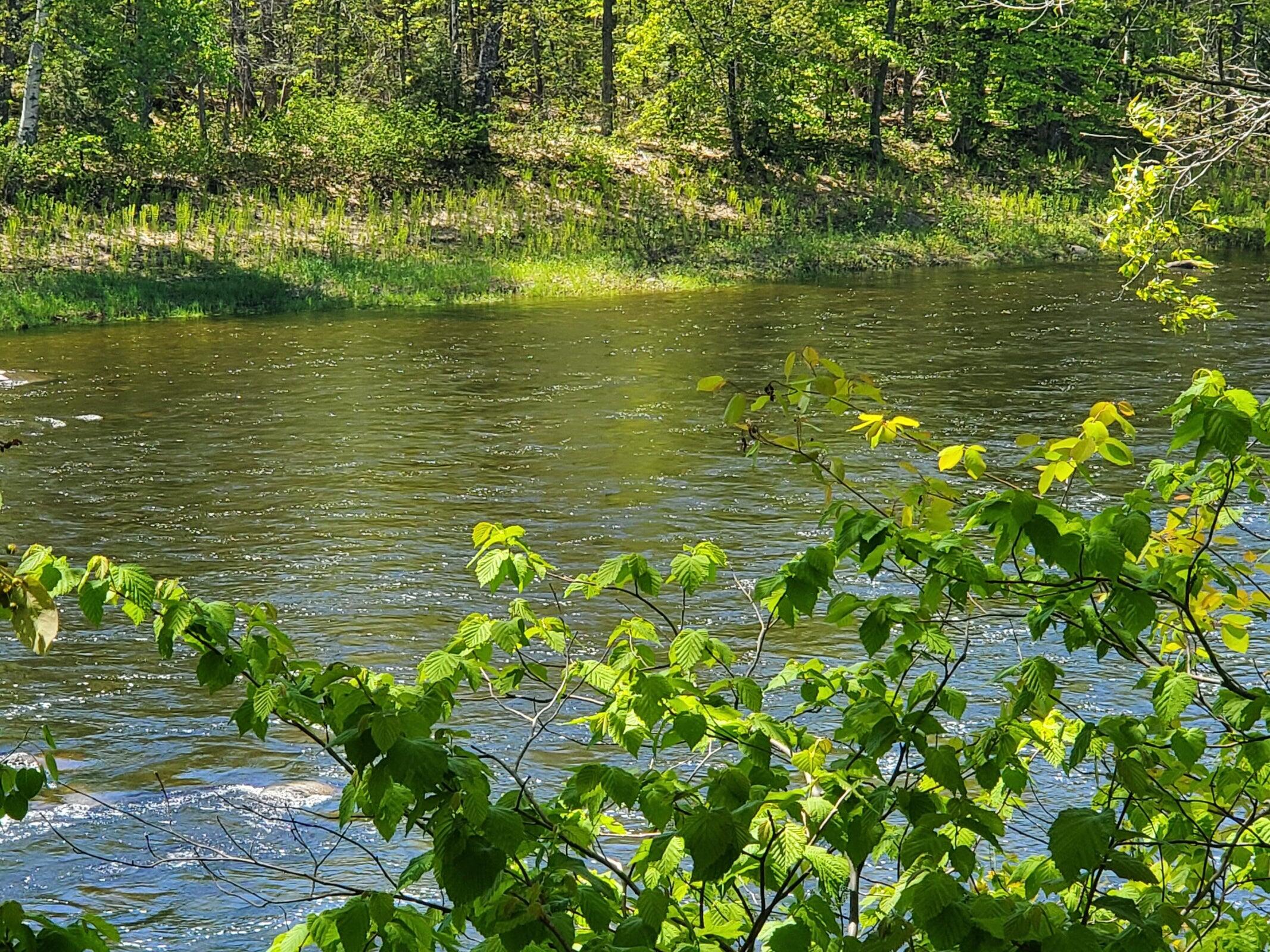 275 Pleasant River Road Milo, ME 04463 - Photo 6 of 76 20230522194611255505000000-o