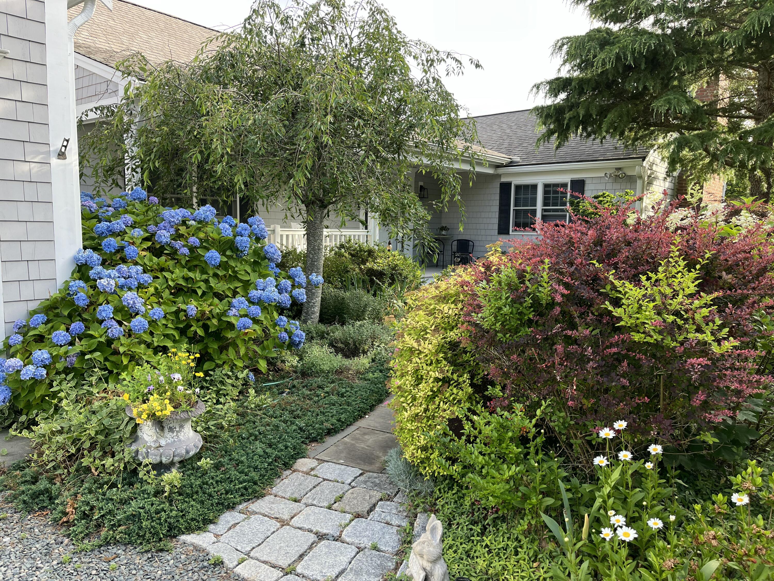35 Sands Road Eastham, MA 02642 - Photo 57 of 79 IMG_3947