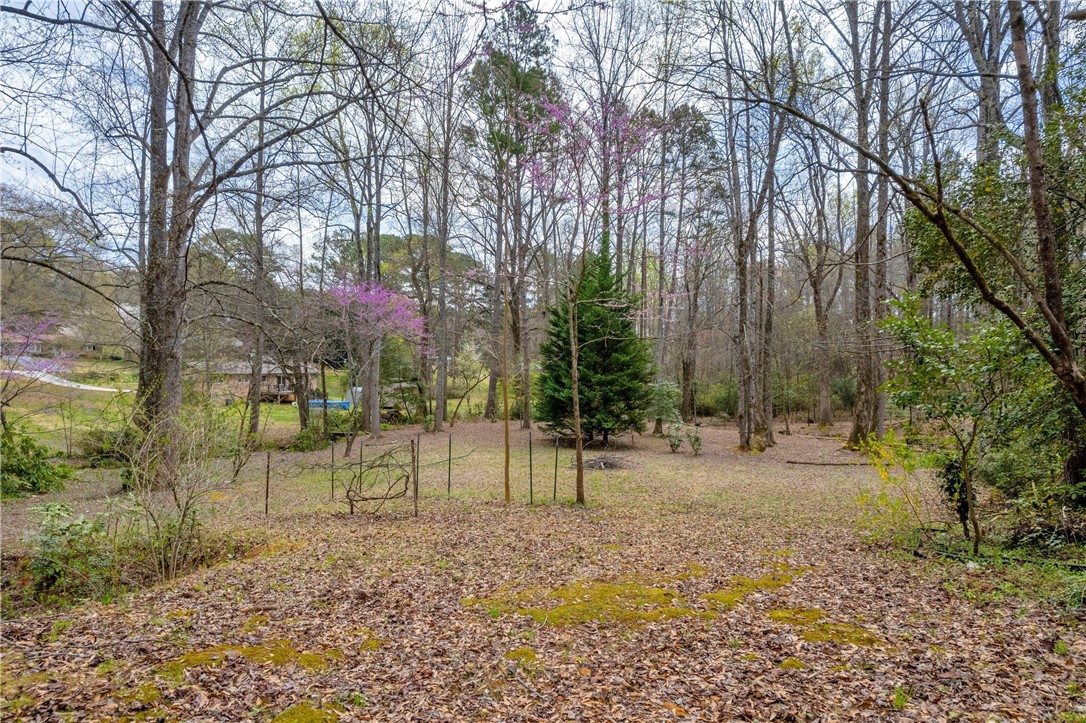 200 Freedom Trail Walhalla, SC 29691 - Photo 41 of 48