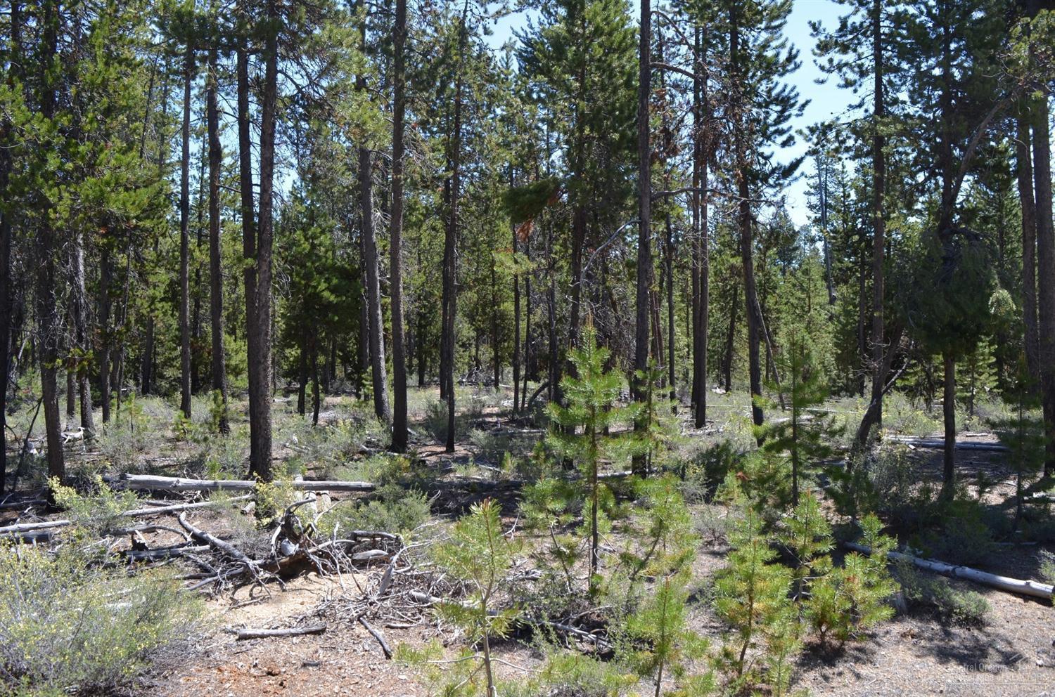 15 Gregg Loop Chiloquin, OR 97624 - Photo 1 of 1 Primary Photo