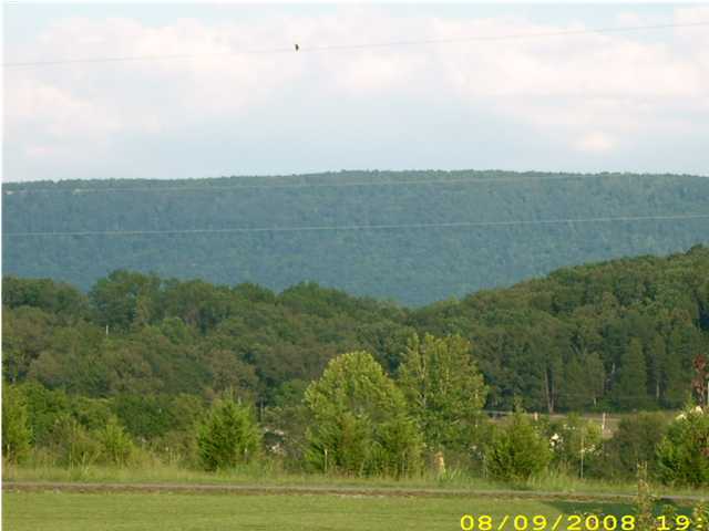 239 Beaver Creek Road Dunlap, TN 37327 - Photo 8 of 8 Additional Photo