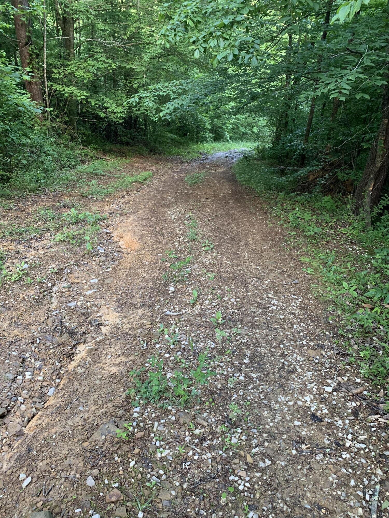517 Camp Branch Road Hazel Green, KY 41332 - Photo 21 of 32 IMG_8769