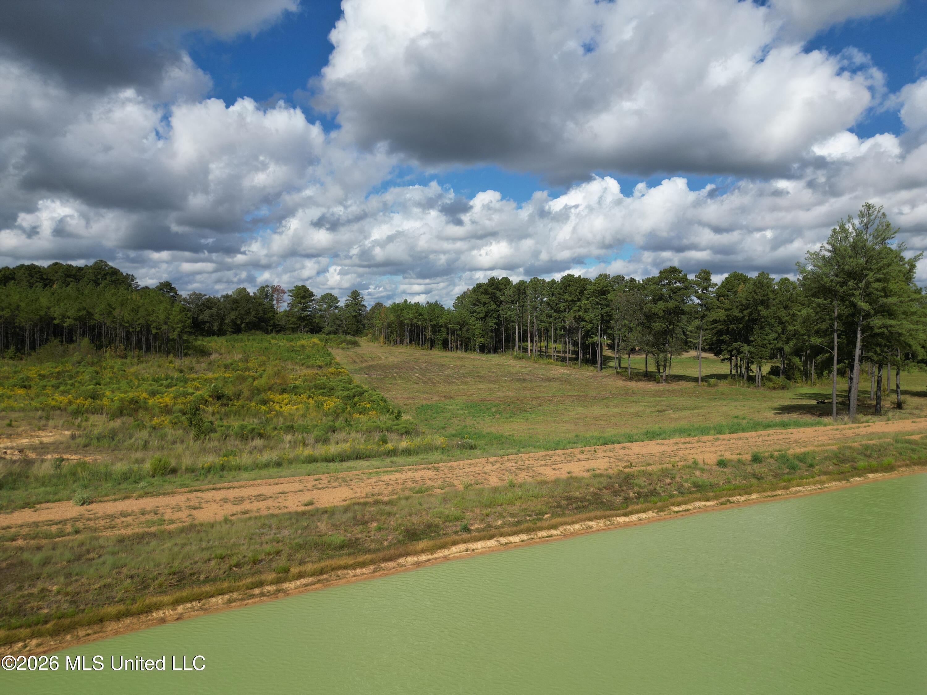 Lot 4 Sulphur Springs Road Canton, MS 39046 - Photo 14 of 14 DJI_0465