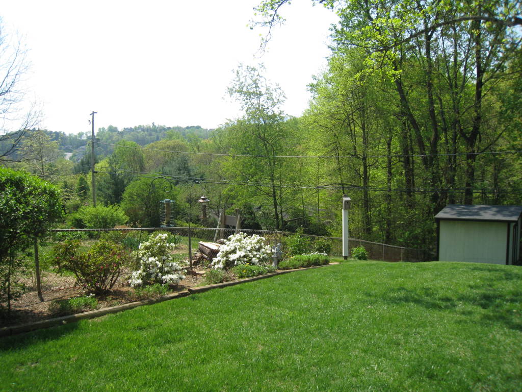 5834 Brahma Road Roanoke, VA 24018 - Photo 21 of 27 Back yard