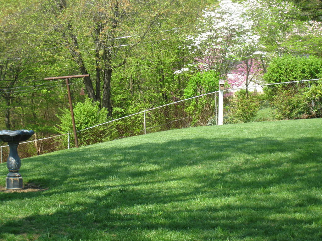 5834 Brahma Road Roanoke, VA 24018 - Photo 22 of 27 Back yard