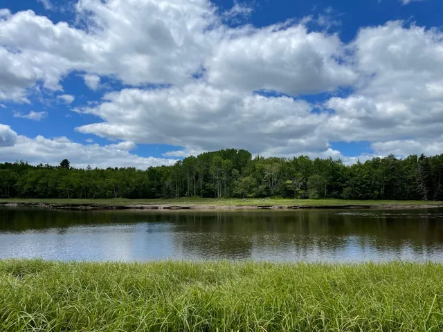 $115,000 | Lot #118 Kansas Road, Milbridge, ME 04658