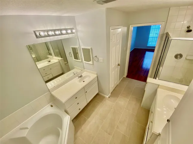 a bathroom with a tub sink a mirror a vanity and a shower