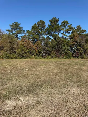 $52,000 | 111 Quigley Place, Aynor, SC 29544