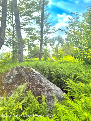 a view of house with a yard