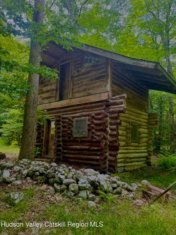 a view of a yard with plants and a bench under a large tree