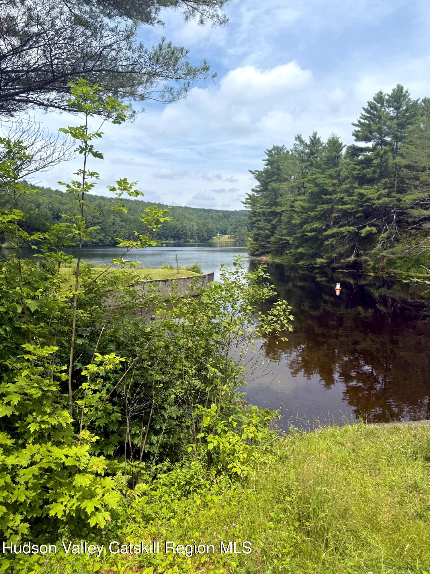 0 Black River Road Stephentown, NY 12169 - Photo 20 of 20 a view of a lake with a lake