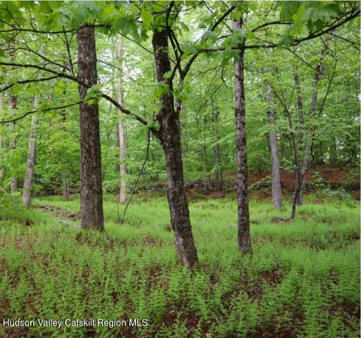 a view of a yard with plants and trees