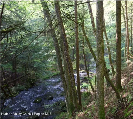 a view of a lake with a tree