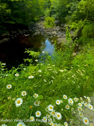 a view of yard with green space