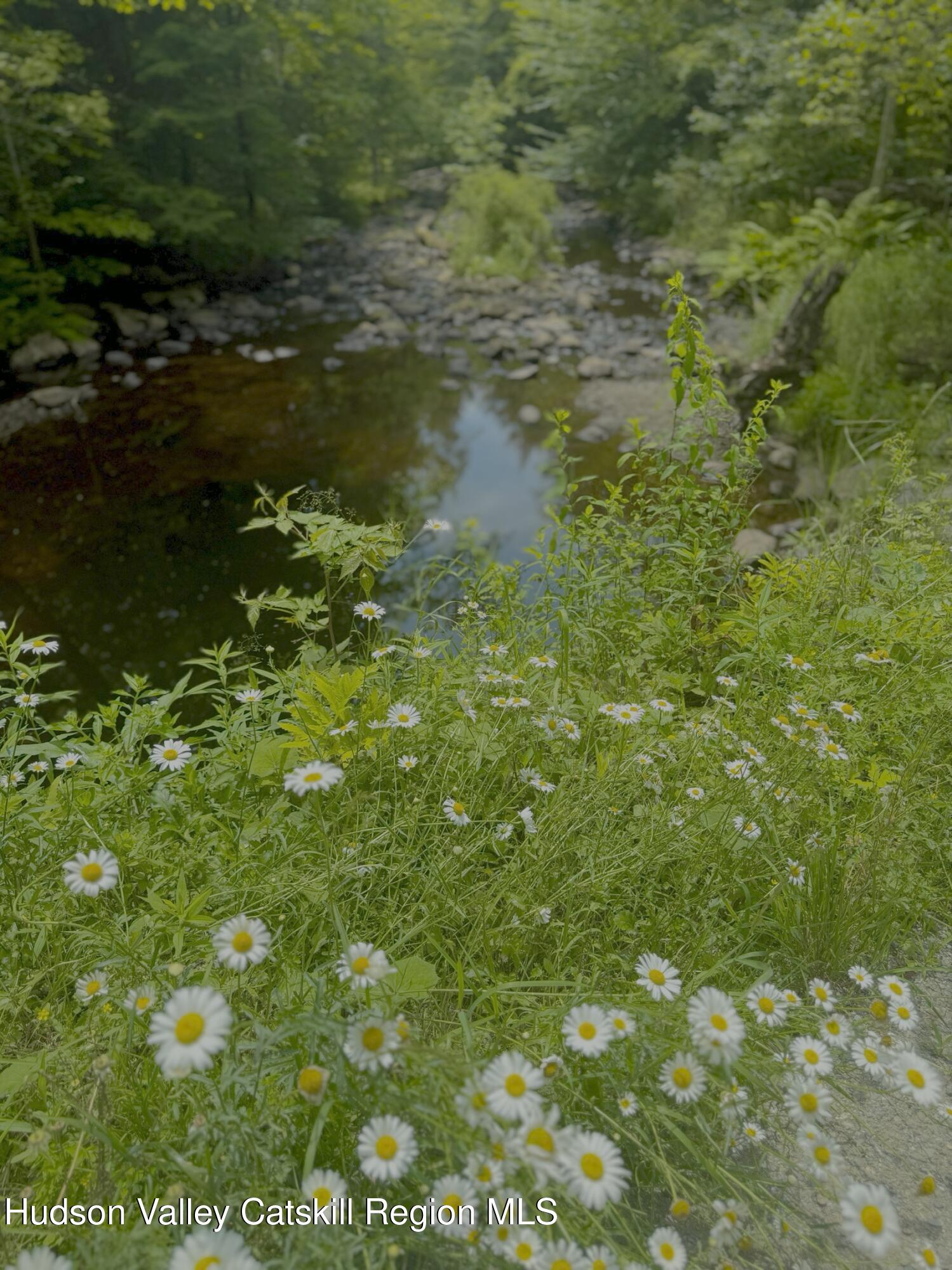 0 Black River Road Stephentown, NY 12169 - Photo 8 of 20 a view of a lake with a tree