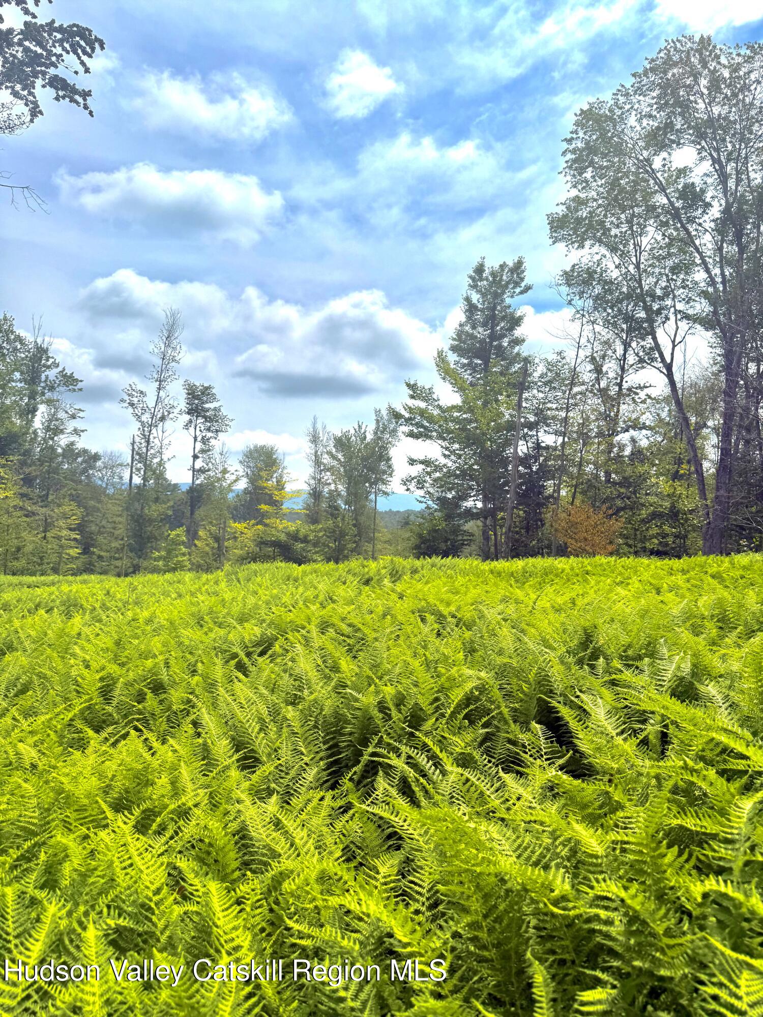 0 Black River Road Stephentown, NY 12169 - Photo 9 of 20 a view of yard with green space