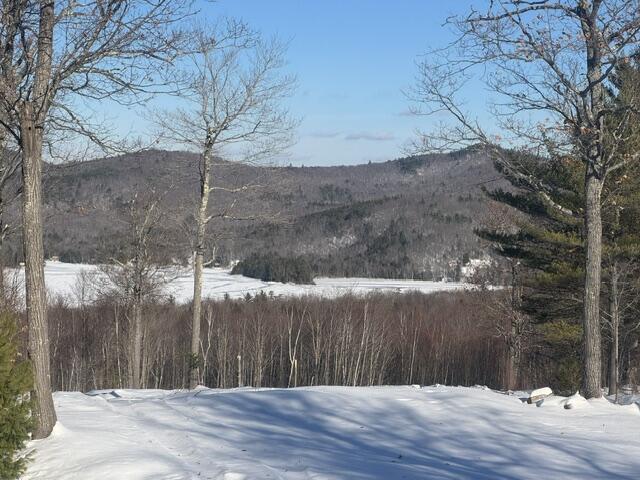 98 Stevens Road Stoneham, ME 04231 - Photo 56 of 59 IMG_1000
