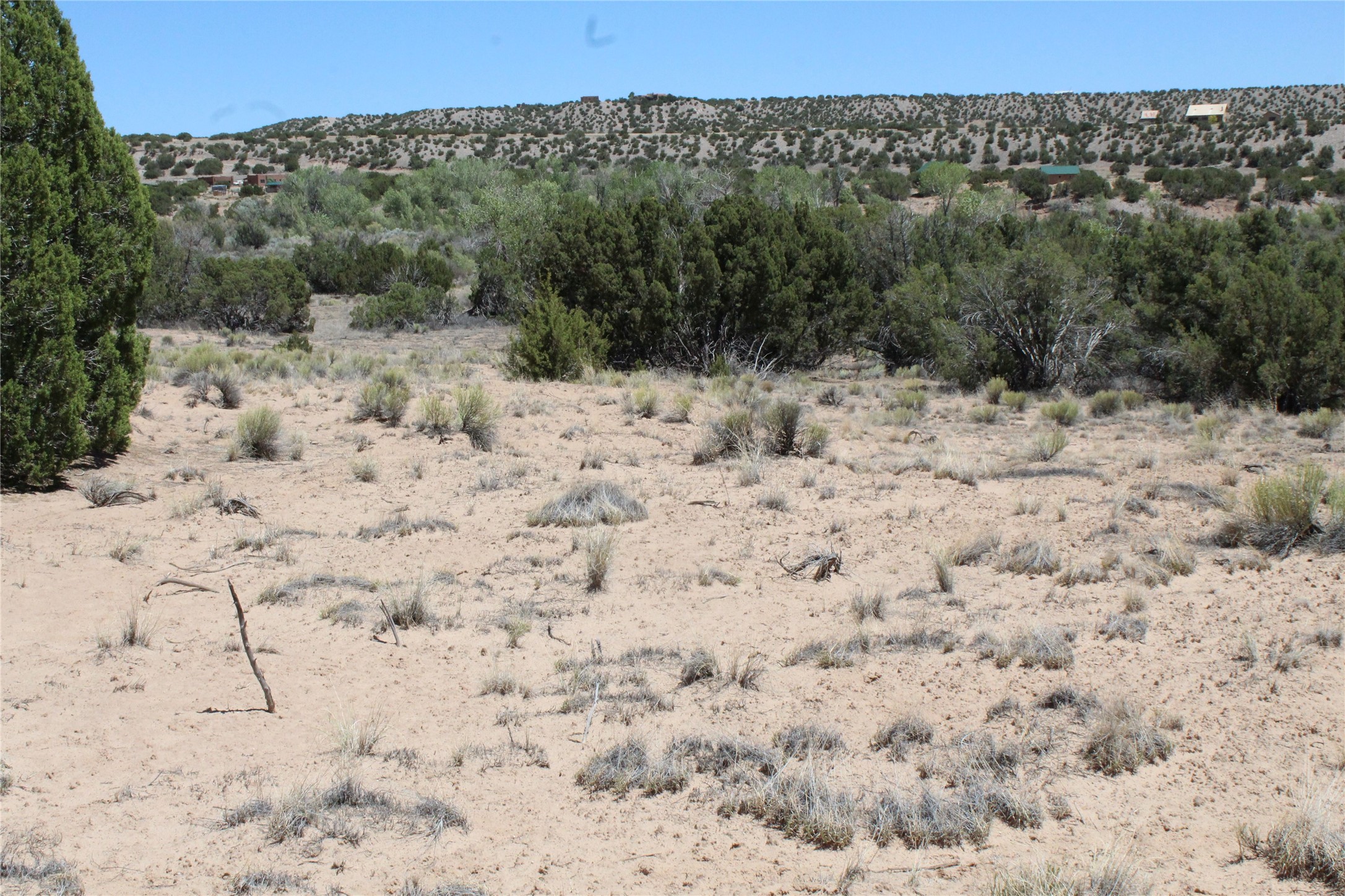 Tbd Tbd Bean Creek Road Abiquiu, NM 87510 - Photo 20 of 22