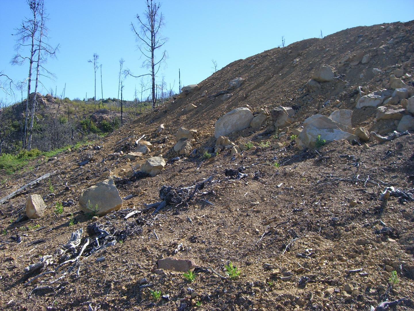 0 Ormsby Cutoff Los Gatos, CA 95076 - Photo 16 of 20 a view of a dry field