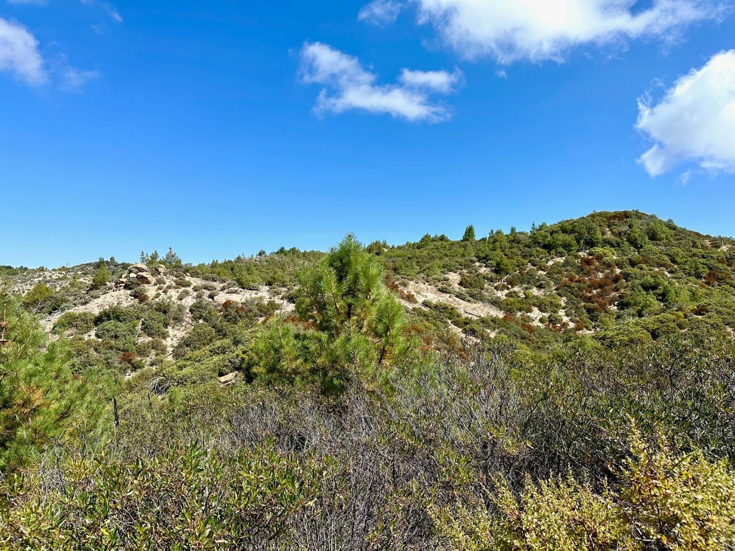 0 Ormsby Cutoff Los Gatos, CA 95076 - Photo 8 of 20 a view of a large building