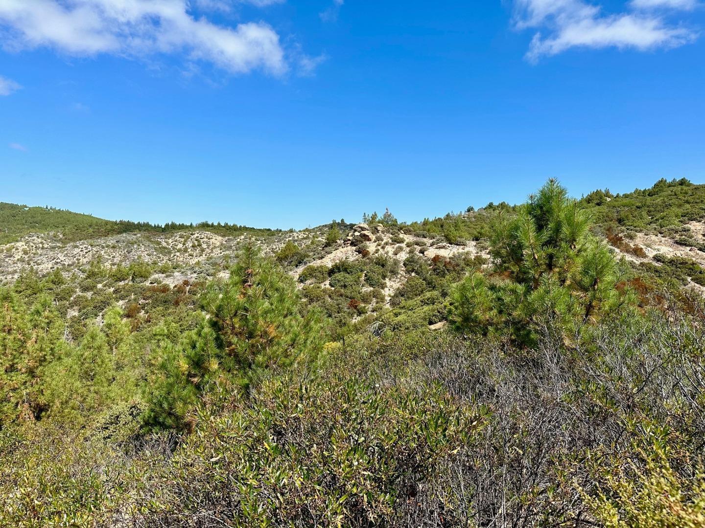 0 Ormsby Cutoff Los Gatos, CA 95076 - Photo 10 of 20 a view of a green field