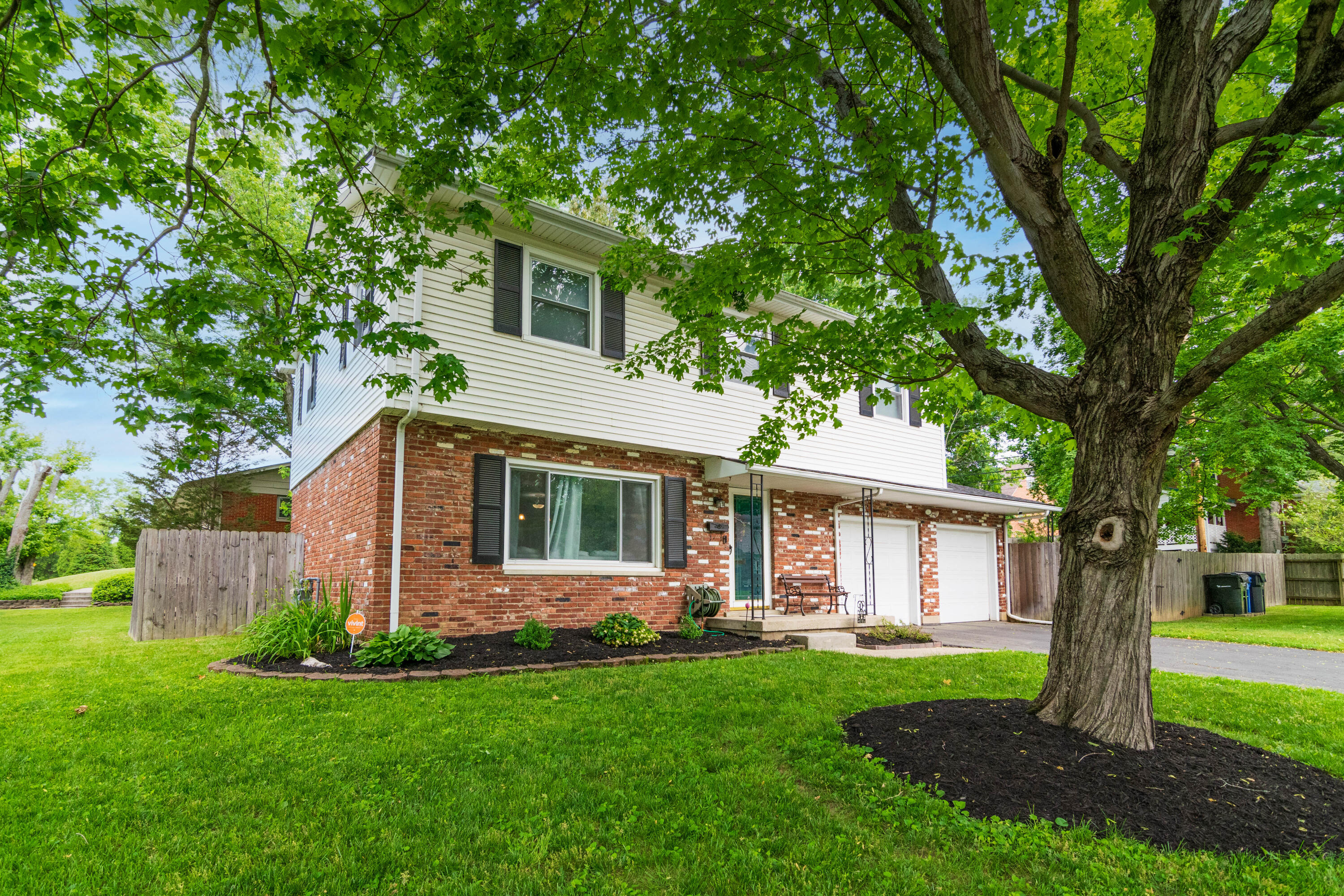 3355HighHope--4