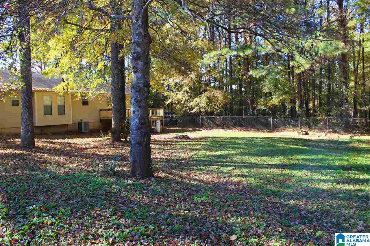 3525 McIntosh Road Oxford, AL 36203 - Photo 34 of 35