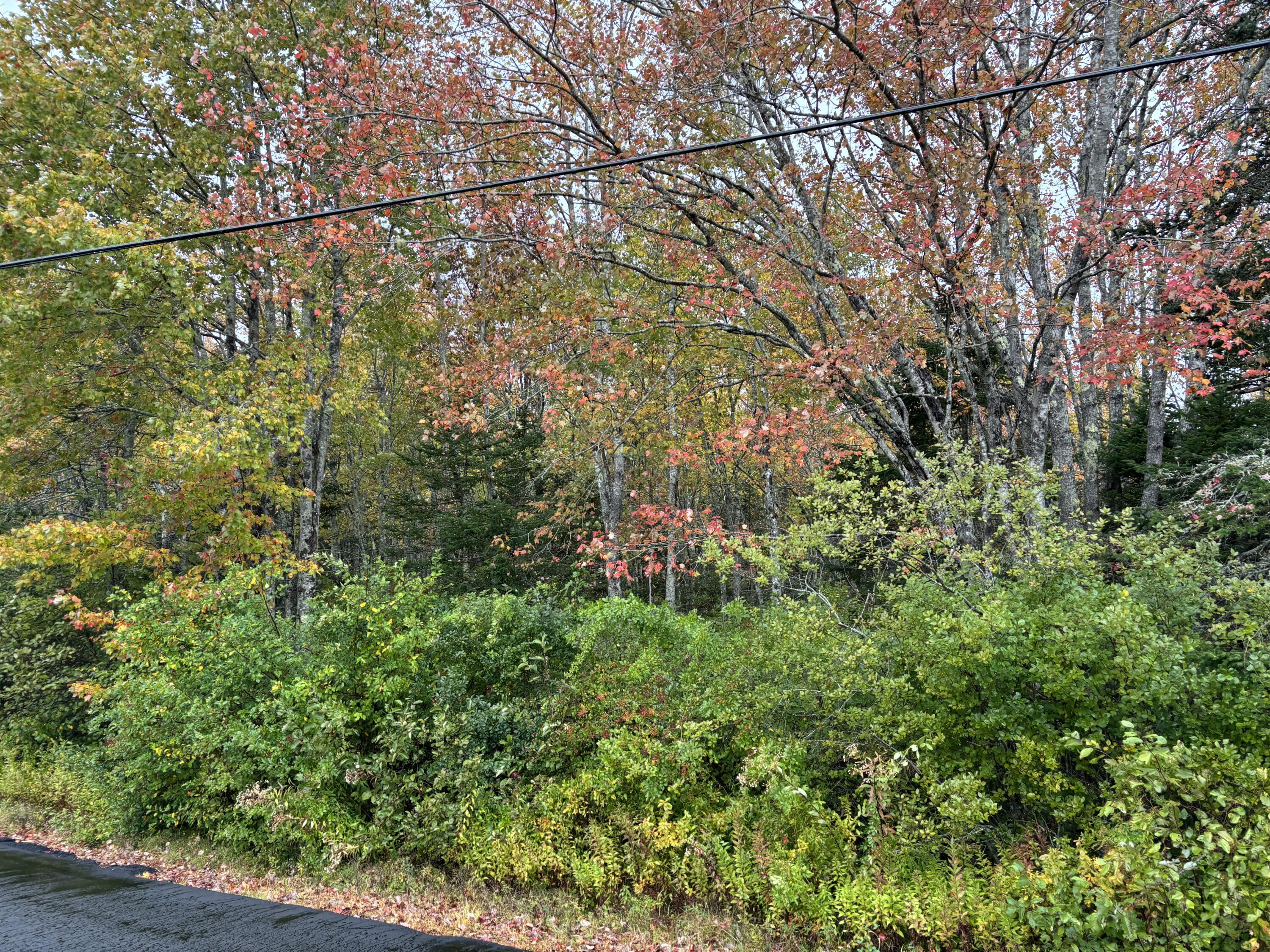 253 Hathorne Point Road Cushing, ME 04563 - Photo 7 of 12