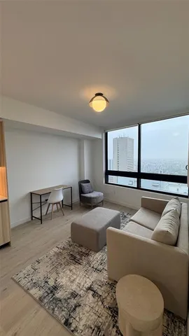 a living room with furniture and a rug