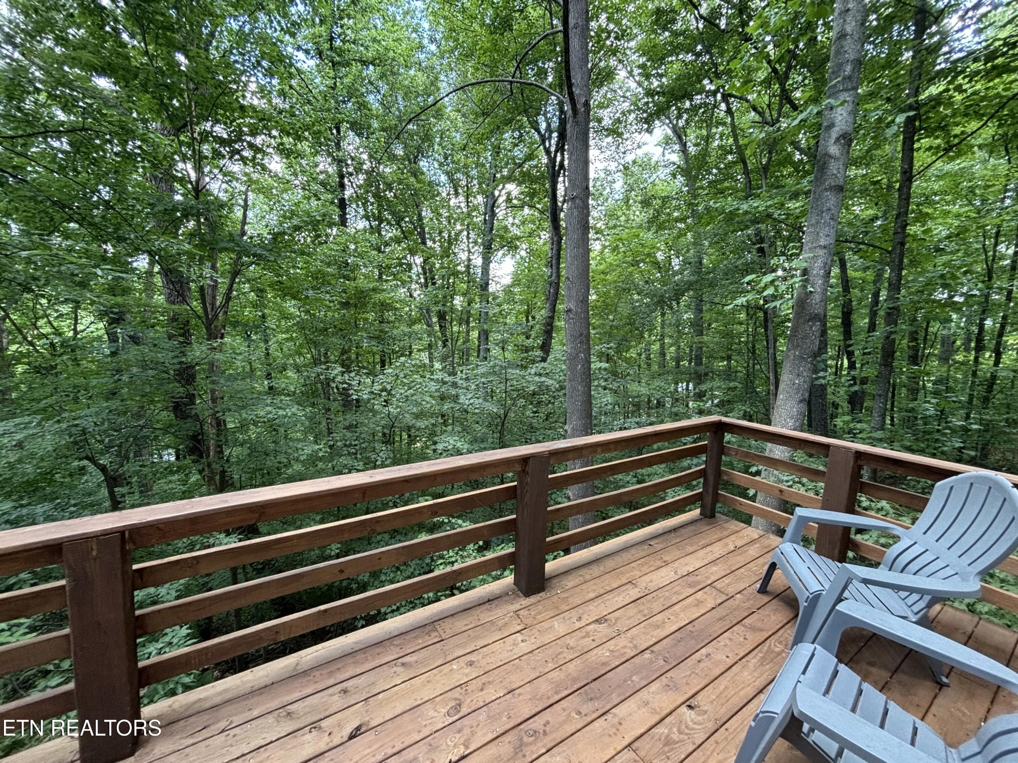 1015 Ruff Grouse Way Seymour, TN 37865 - Photo 39 of 55 Gallery Image 39