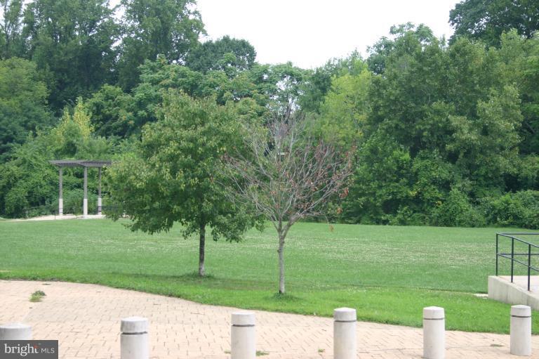 6302 Banbury Road Baltimore, MD 21212 - Photo 22 of 22 a view of a park with large trees