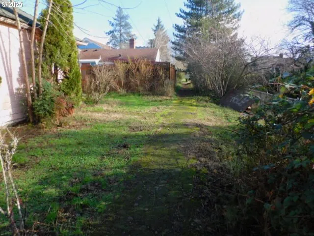 a view of a big yard with plants and large trees