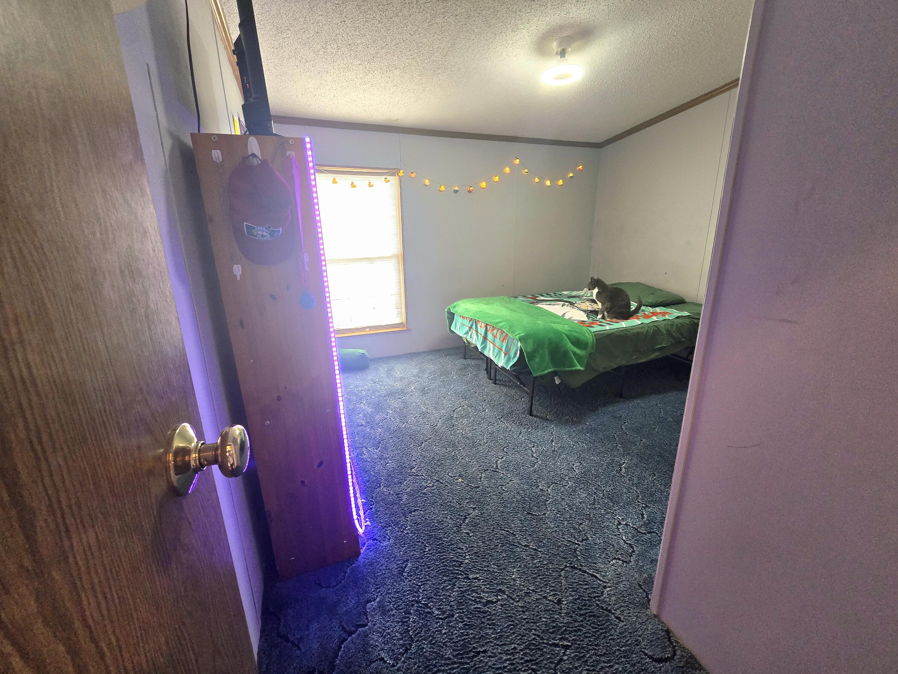 66 Piper Wood Road Hampden, ME 04444 - Photo 48 of 54 20251009_111139