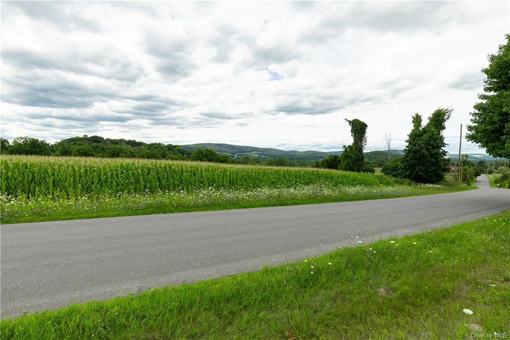 Yonderview Road Hillsdale, NY 12529 - Photo 13 of 13 PORTION OF ROAD FRONTAGE