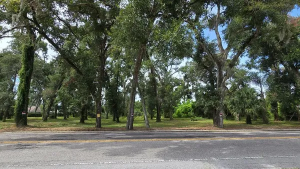 a view of a yard