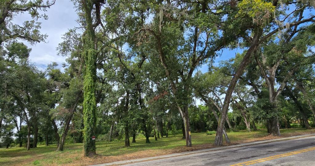 712 Lithia Pinecrest Road Brandon, FL 33511 - Photo 3 of 9 a view of a park