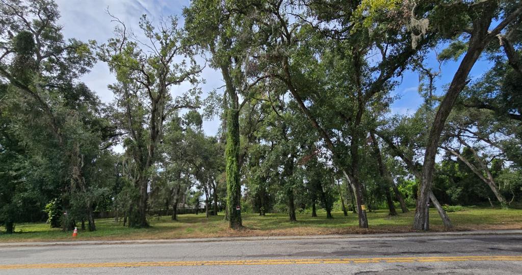 712 Lithia Pinecrest Road Brandon, FL 33511 - Photo 8 of 9