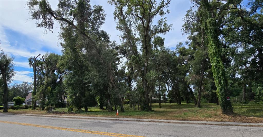 712 Lithia Pinecrest Road Brandon, FL 33511 - Photo 9 of 9 a view of a yard