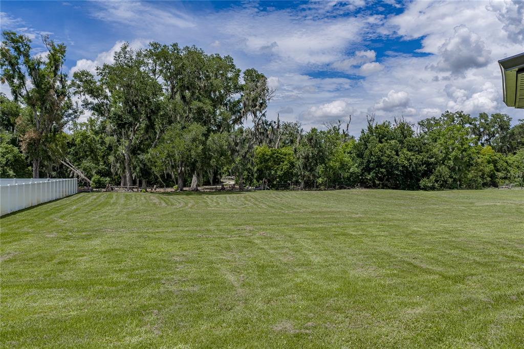 14080 Sydney Road Dover, FL 33527 - Photo 42 of 100