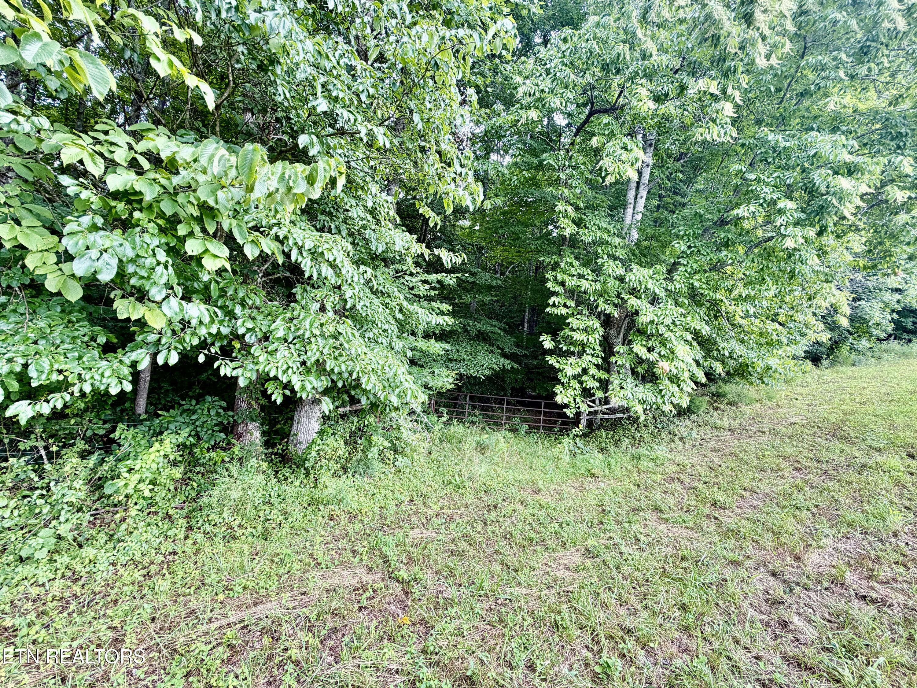 1545 Estes Road Tazewell, TN 37879 - Photo 24 of 34 IMG_5127
