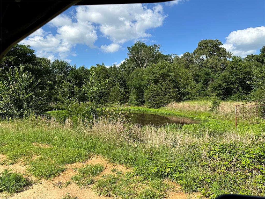 44240 Powderly Tx 75473 Powderly, TX 75473 - Photo 2 of 4