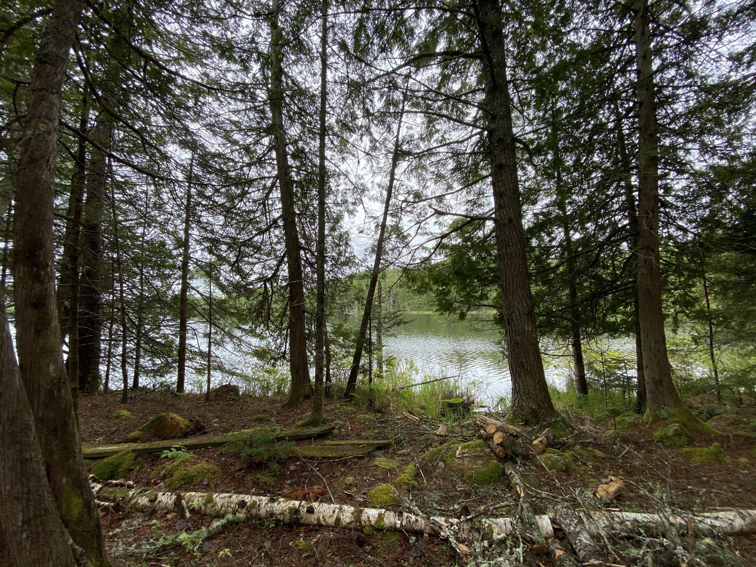 329 Ellsworth Road Aurora, ME 04408 - Photo 42 of 45 Private