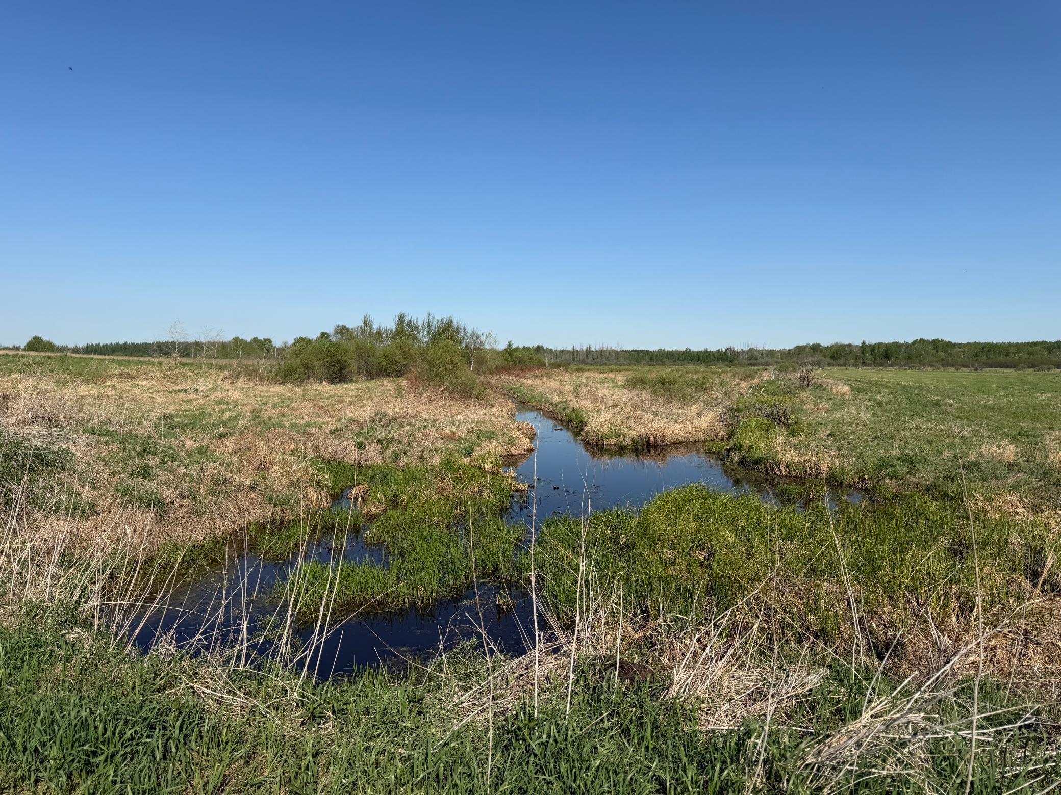 14 Sebeka Mn 56477 Sebeka, MN 56477 - Photo 31 of 79