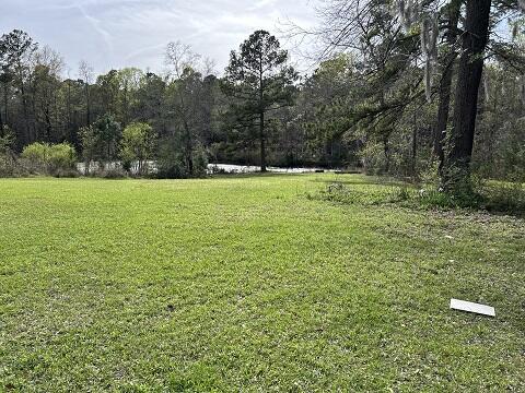 140 Bowers Lane Moncks Corner, SC 29461 - Photo 11 of 11 POND VIEW 04