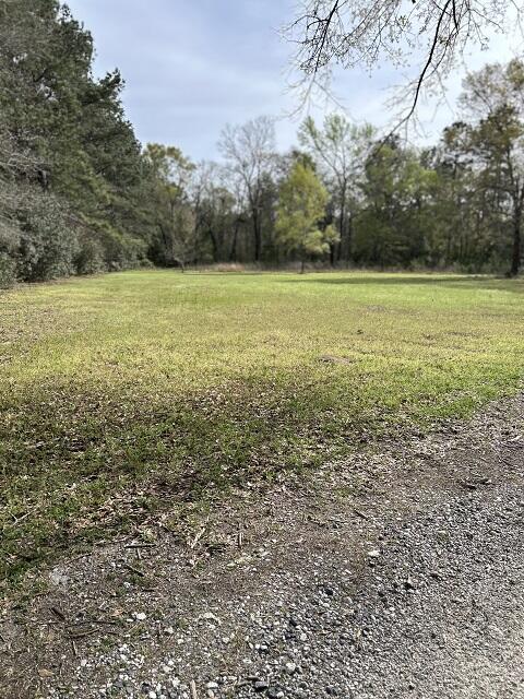 140 Bowers Lane Moncks Corner, SC 29461 - Photo 3 of 11 LANDSCAPE VIEW O2