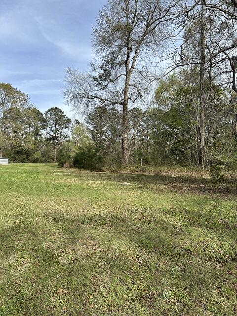 140 Bowers Lane Moncks Corner, SC 29461 - Photo 4 of 11 WOODS VIEW 05