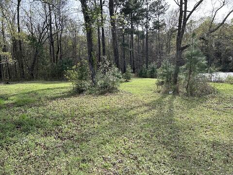 140 Bowers Lane Moncks Corner, SC 29461 - Photo 5 of 11 WOODS VIEW 06