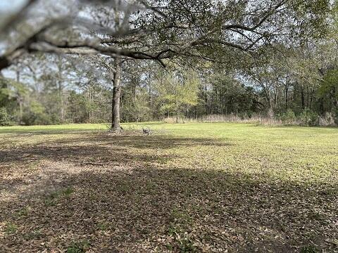 140 Bowers Lane Moncks Corner, SC 29461 - Photo 6 of 11 WOODS VIEW 07