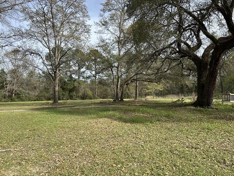 140 Bowers Lane Moncks Corner, SC 29461 - Photo 7 of 11 WOODS VIEW 09